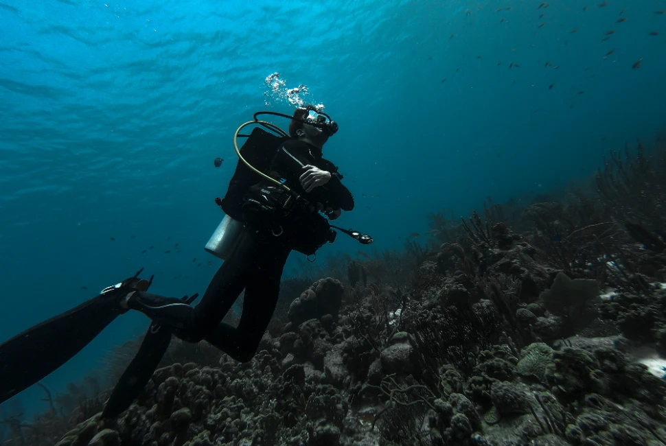 Lake City, FL: A Haven for Nature Lovers and Adventure Seekers